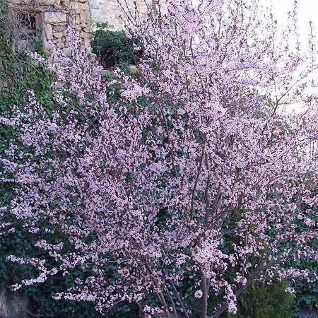 Appartamento Casablanca