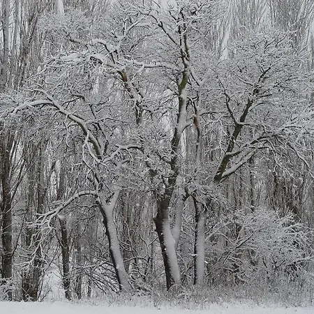 Appartamento Casablanca