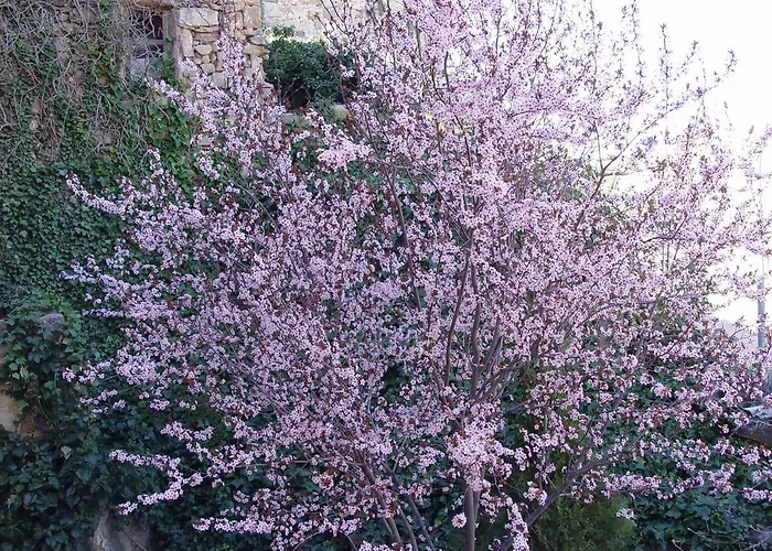 Lägenhet Casablanca