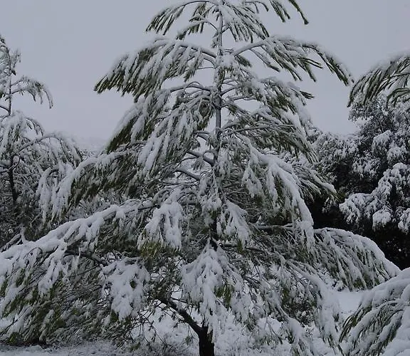 Casablanca * Mora de Rubielos